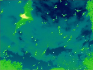 bat_thermal