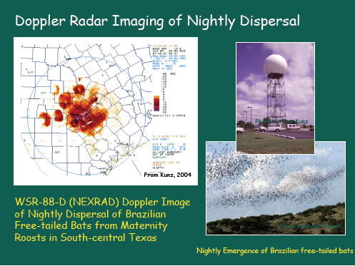 dopplerimage