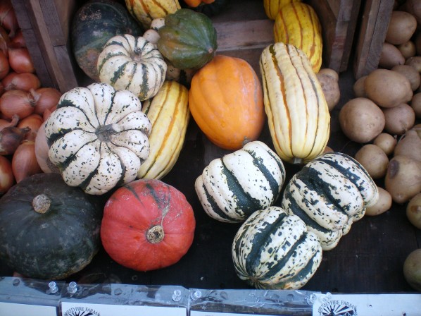 Winter squash