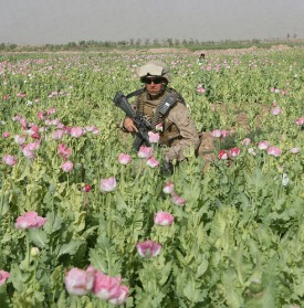 Jack of all trades: mortarmen utilized on foot patrols