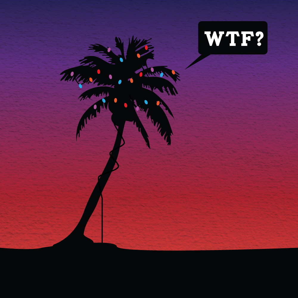 Corona Christmas Palm Tree