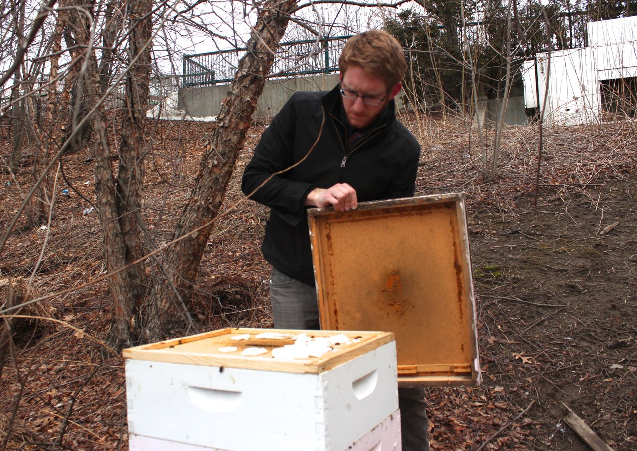 beekeepers