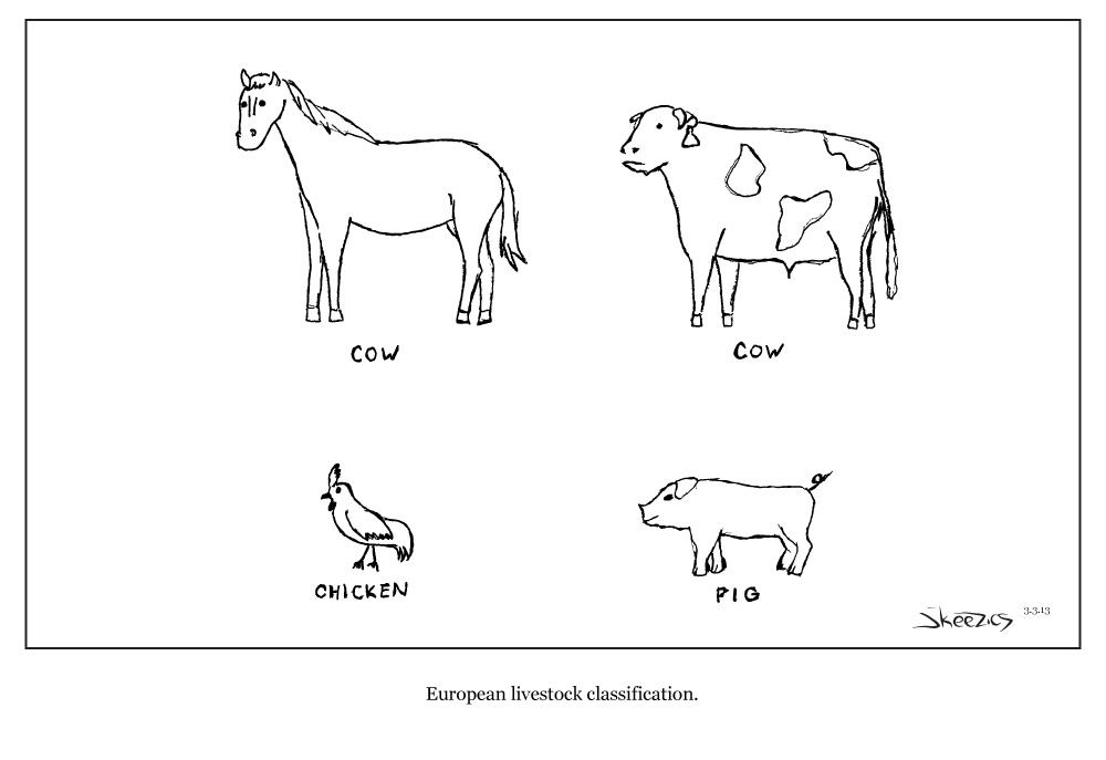 European Livestock Classification The Quad