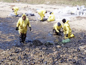Beach clean up