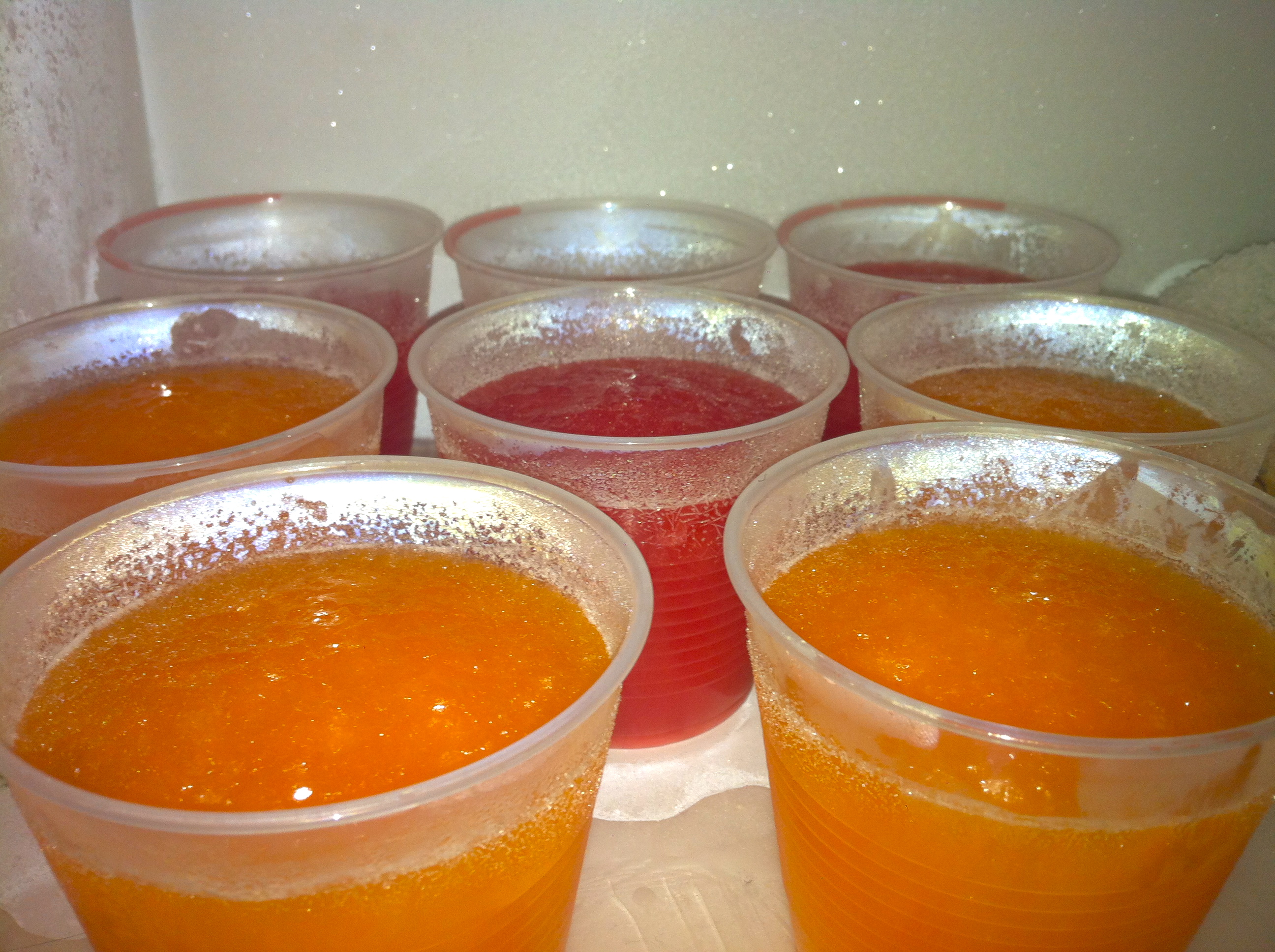 Photo Taken By: Gabriella Gricius