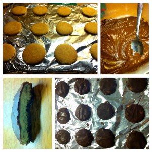 Taken by: Gabriella Gricius