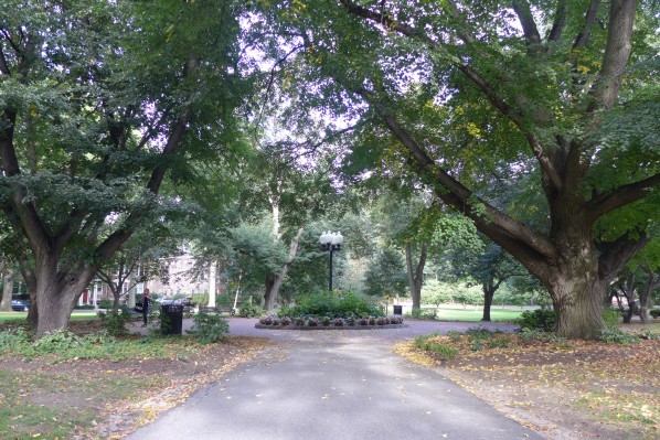 Knyvet Square Park | photo by Vijayta Narang