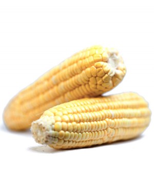 Corn on the Cob
