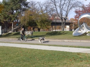 Urban mushing | photo taken by Michelle Cheng
