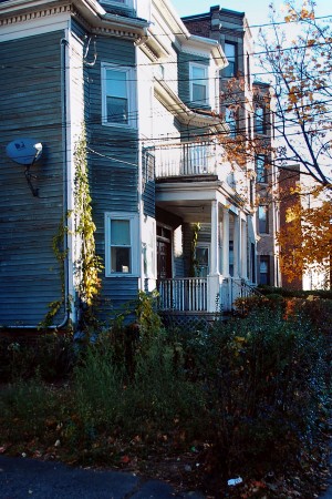 Overgrown plants and weeds fill the front of many unkept lawns in Allston. | Photo by Ashley Hansberry.