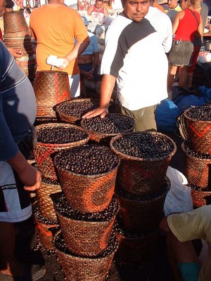 Acai berries may not lead to immediate health, but they look tasty| courtesy of Decio Horita Yokota via wikicommons