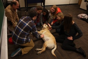 This is one content dog | Photo by Hanna Klein