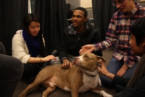 Students asked questions about the different dog breeds | Photo by Hanna Klein