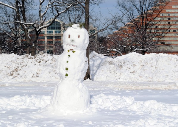 Snowman on Beach